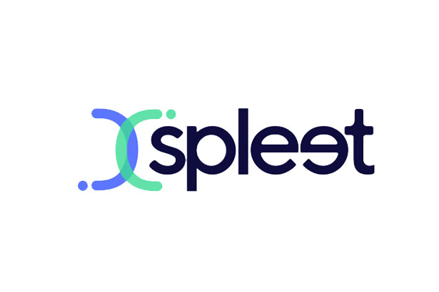 Spleet